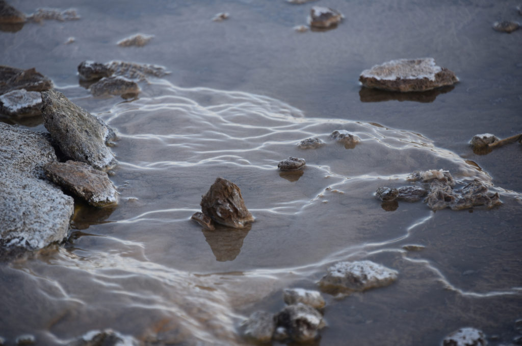 Water near the geyser