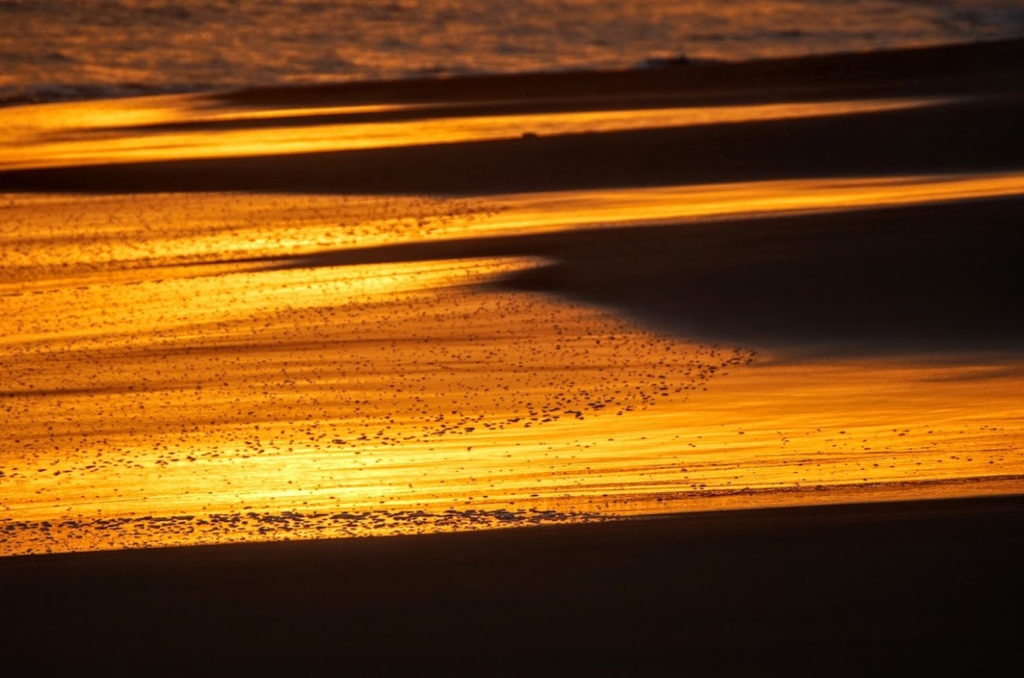 Costa Rican Beach at Sunset