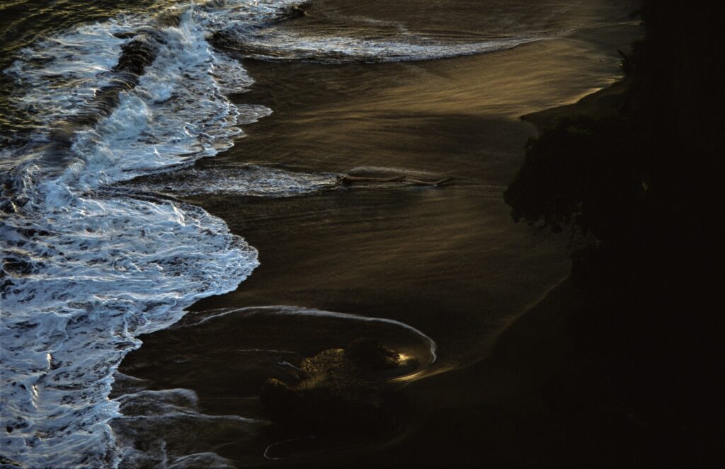 Early morning, Costa Rica beach