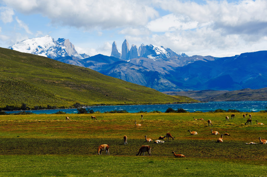 Patagonia trademarks