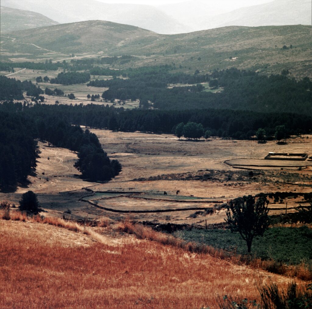 Romanian Landscape