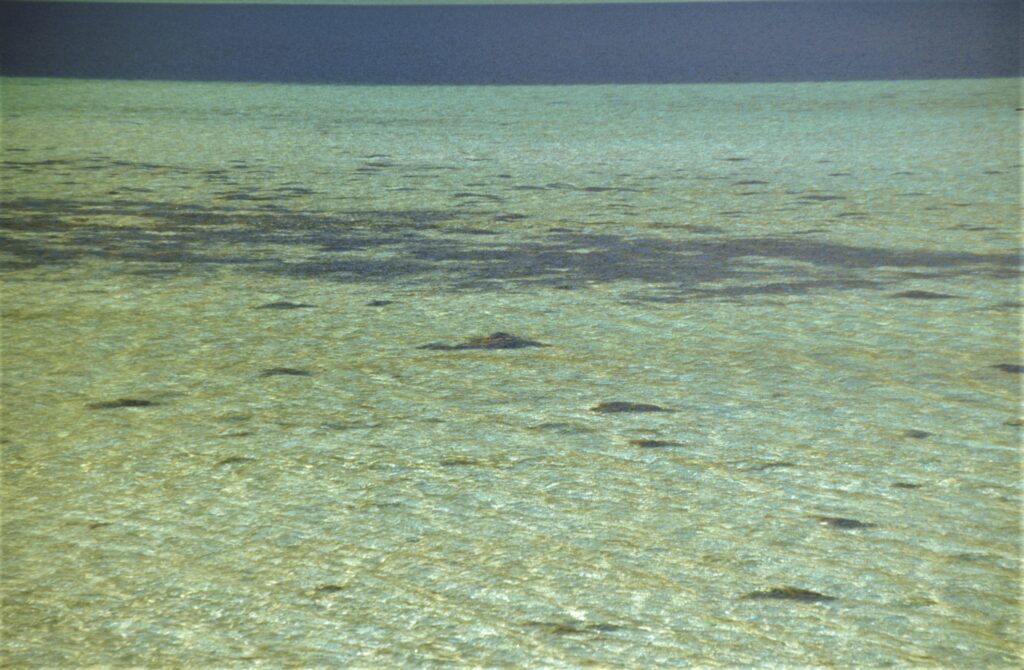 beautiful water