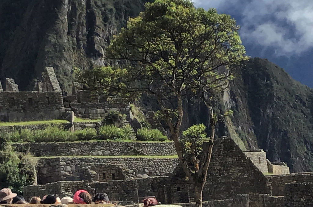 Macchu Picchu