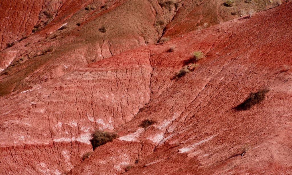 Painted Desert
