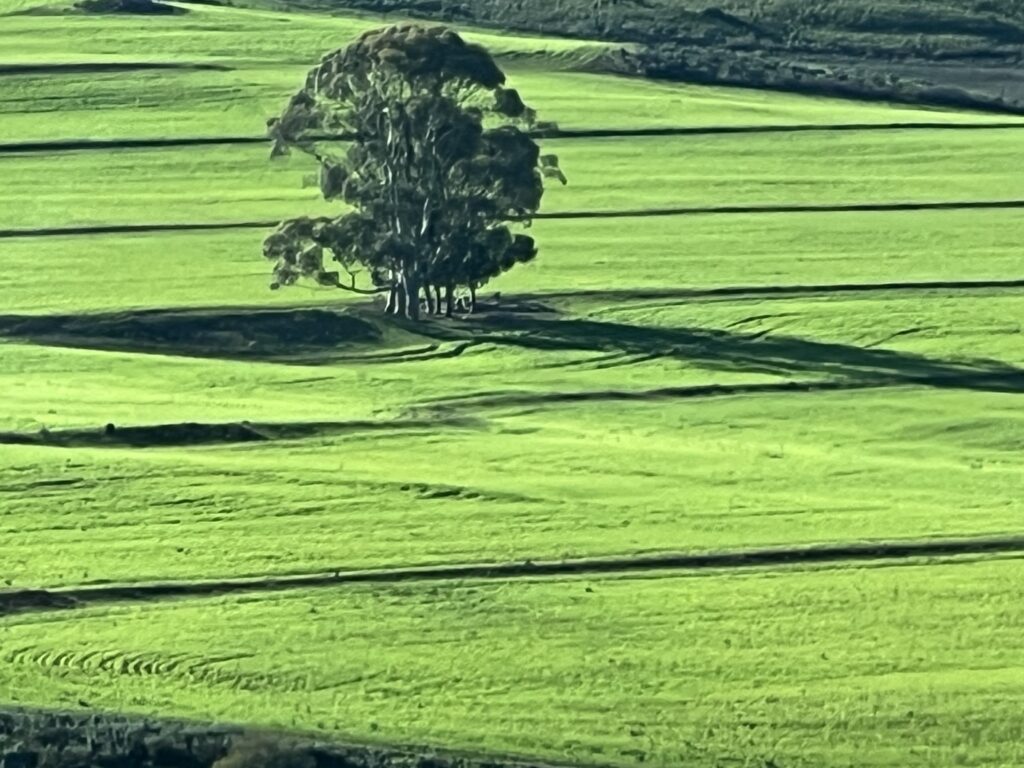 the beautiful South African countryside