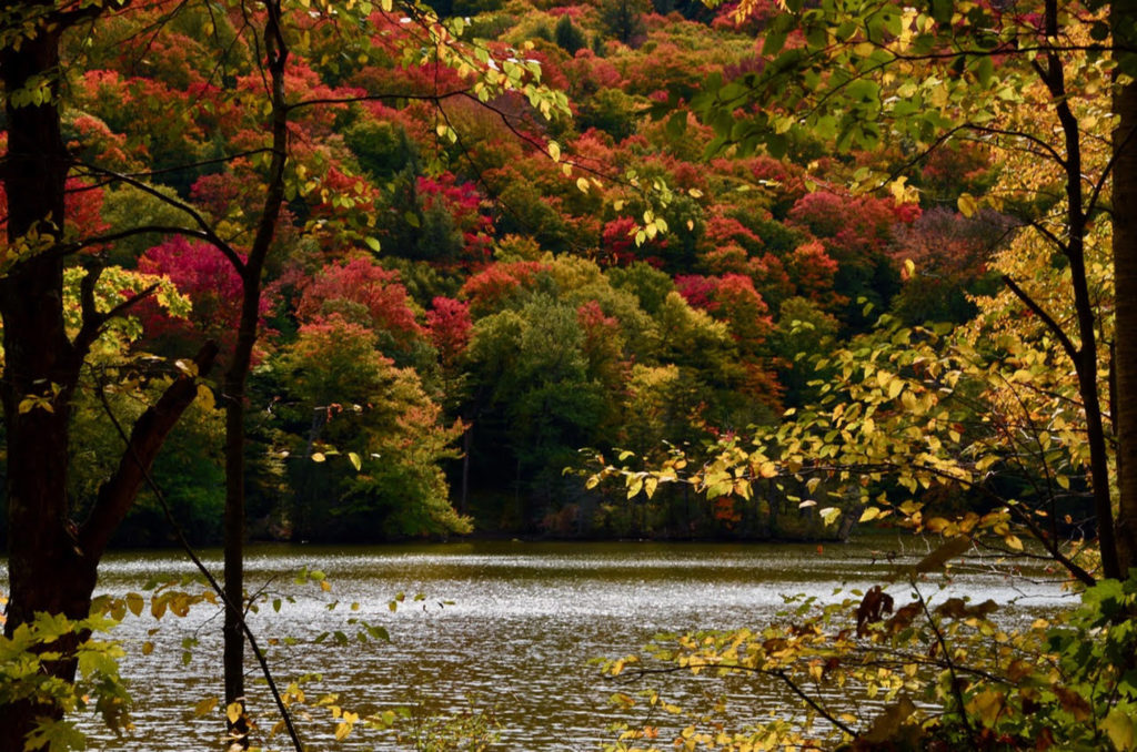 lake in stowe vt