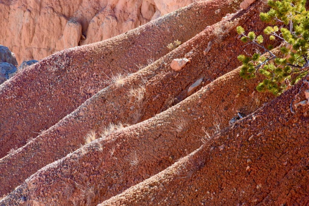 Bryce Canyon National Park