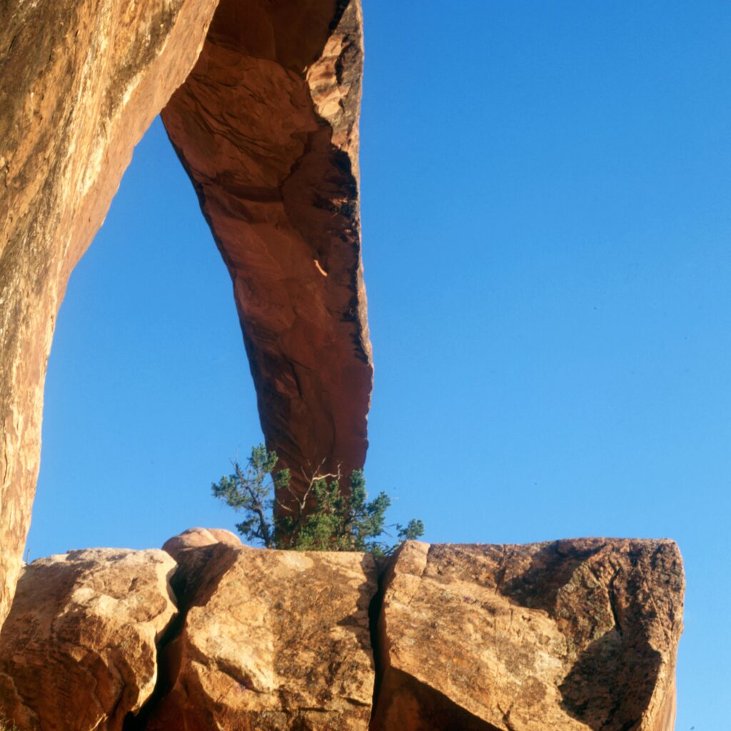 Landscape Arch in Arches National Park.