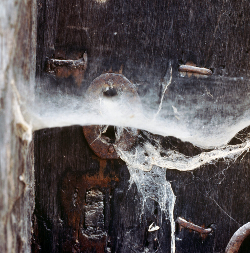 Lock and spider web