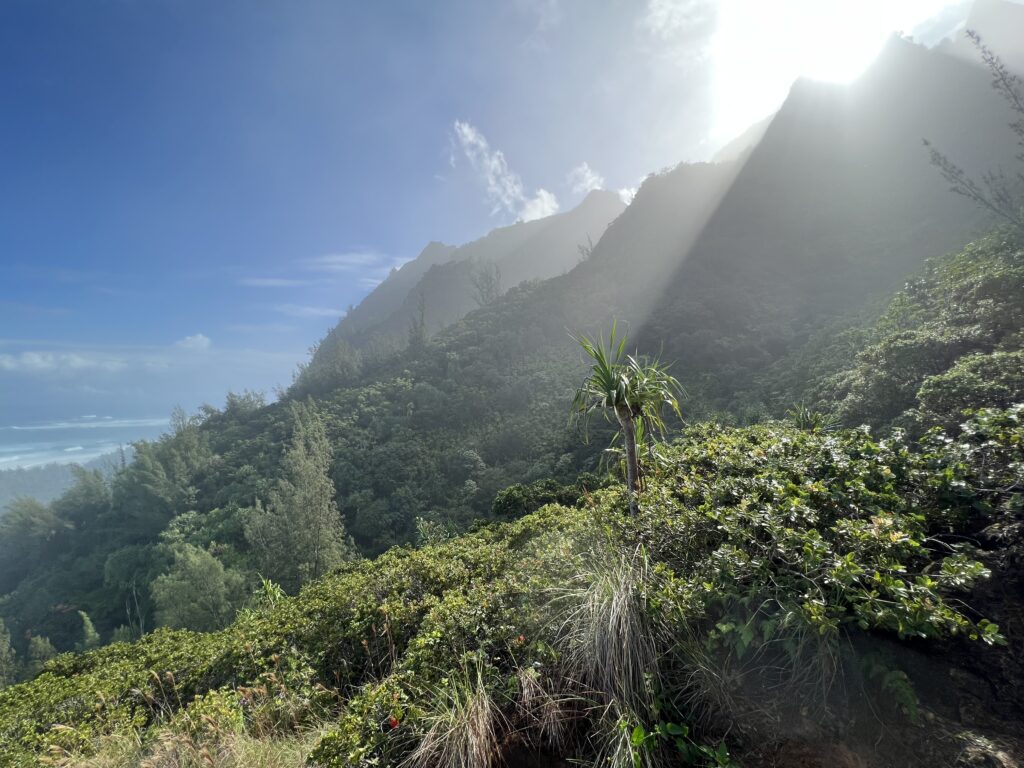 Beautiful Hike Views
