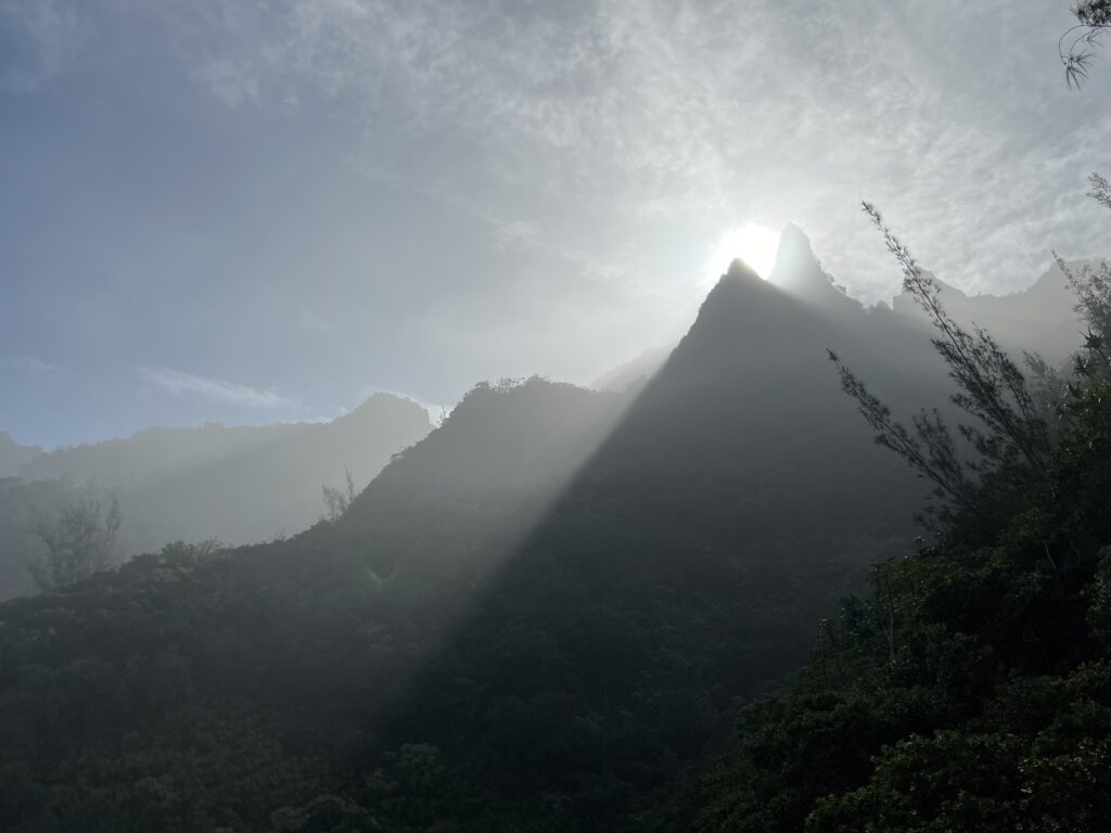 Top of the Trail