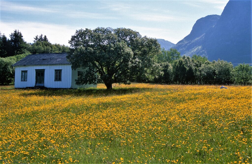 Rural Cabin